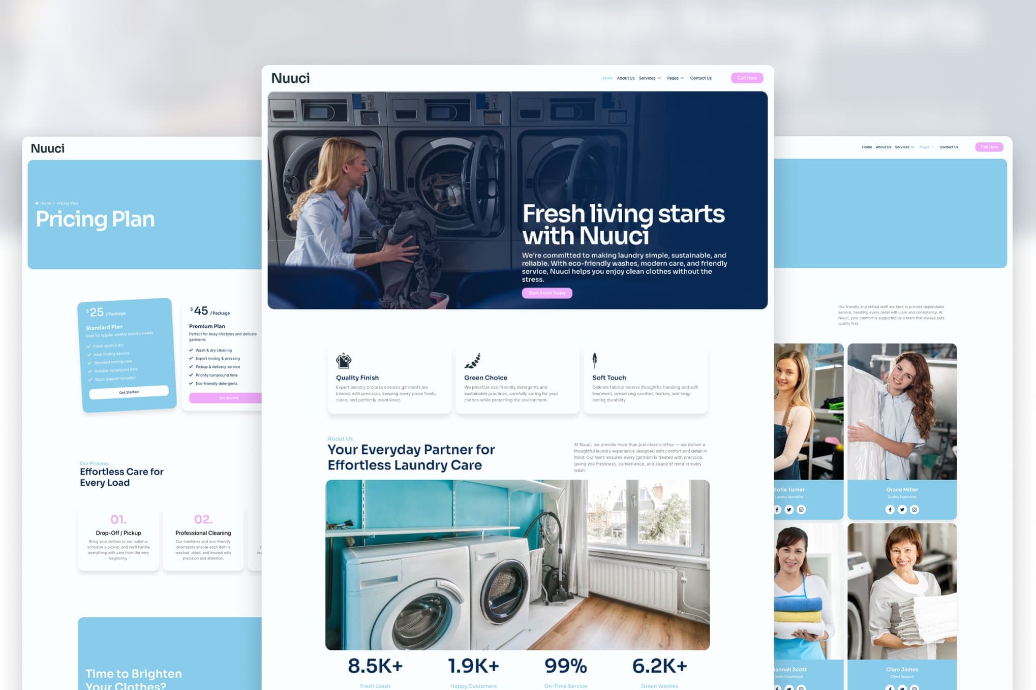 Nuuci - Modern Fresh Laundry Service Elementor Template